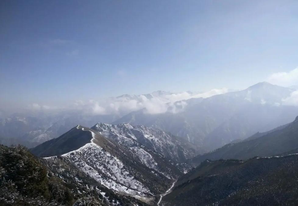 吉林一男子捡到梅花鹿,吉林男子野外捡鹿