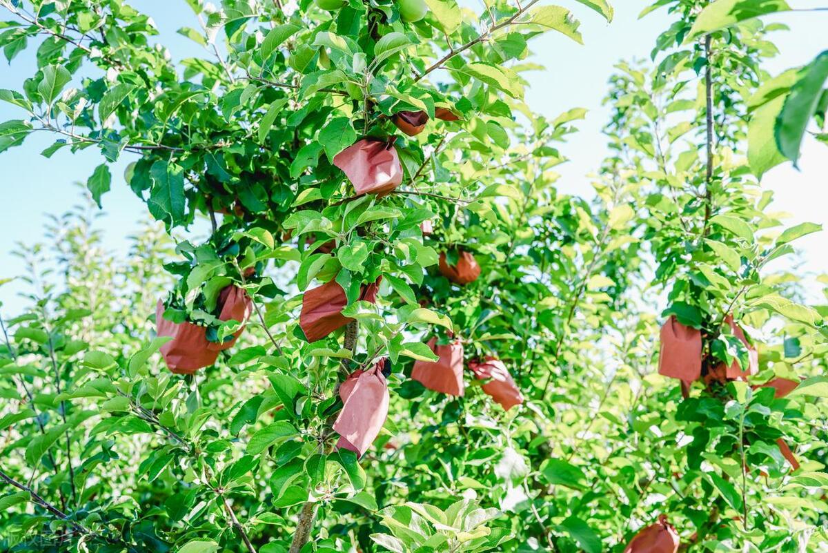 当下农村最兴旺的六大生意,农村这三种生意最挣钱没淡季