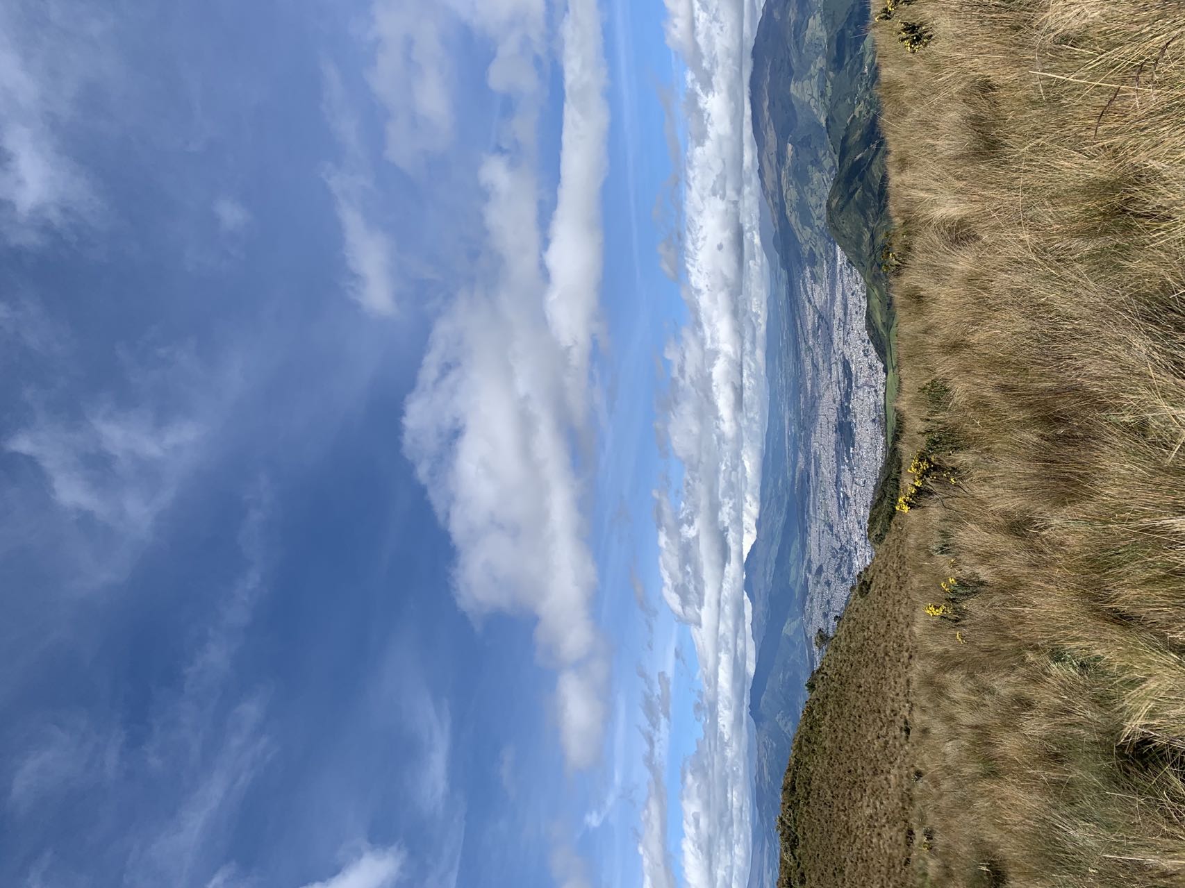 西语最好学,学西语可以去哪个大学