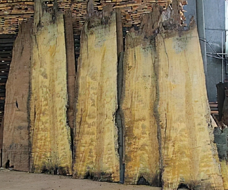 上亿乌木最后归属,江西上亿乌木最后归谁了