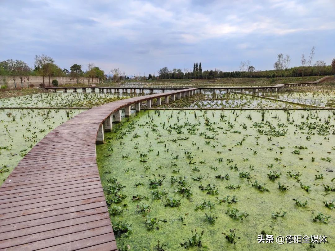 广汉城北新区生态湿地公园位置,广汉新增湿地公园