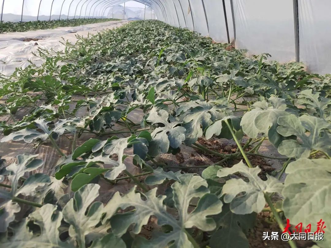 社区帮助居民家门口就业,推荐群众家门口就业