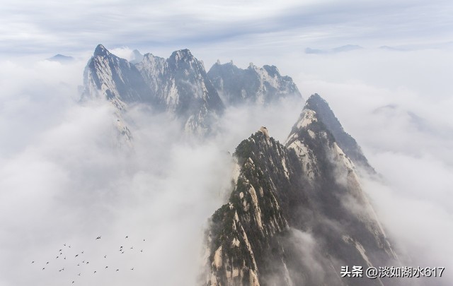 中央空调哪个品牌好求推荐,中央空调品牌哪家好又实惠耐用