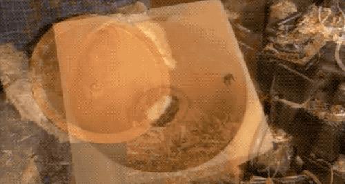 宜家里的彩色碗材质,宜家钢化玻璃碗怎么做的