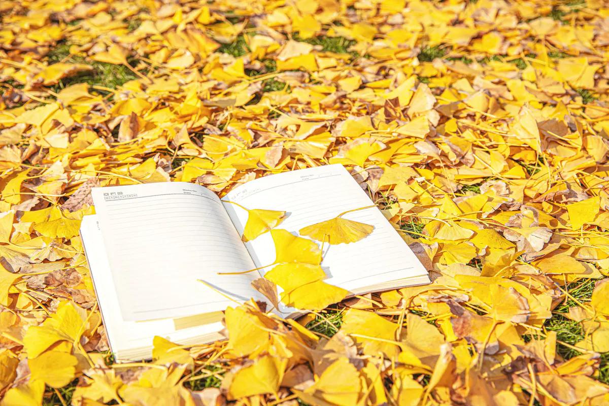 小红书运营入门基础知识教程,小红书怎么运营吸引粉丝