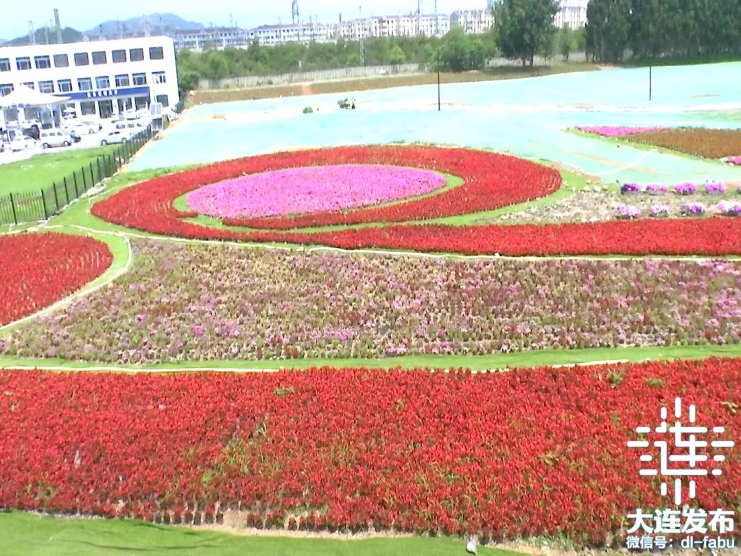 大连独一无二的花园,大连最新的花园
