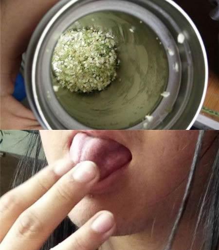 石楠花谢了石楠树却很香,石楠花开的季节