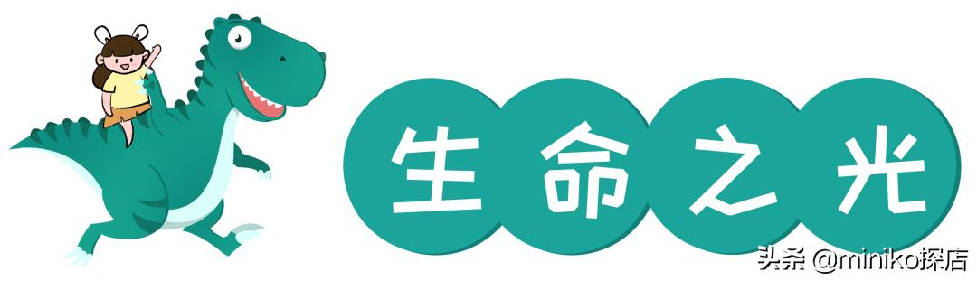 自贡方特恐龙王国园内游玩攻略,自贡方特恐龙王国全程游览