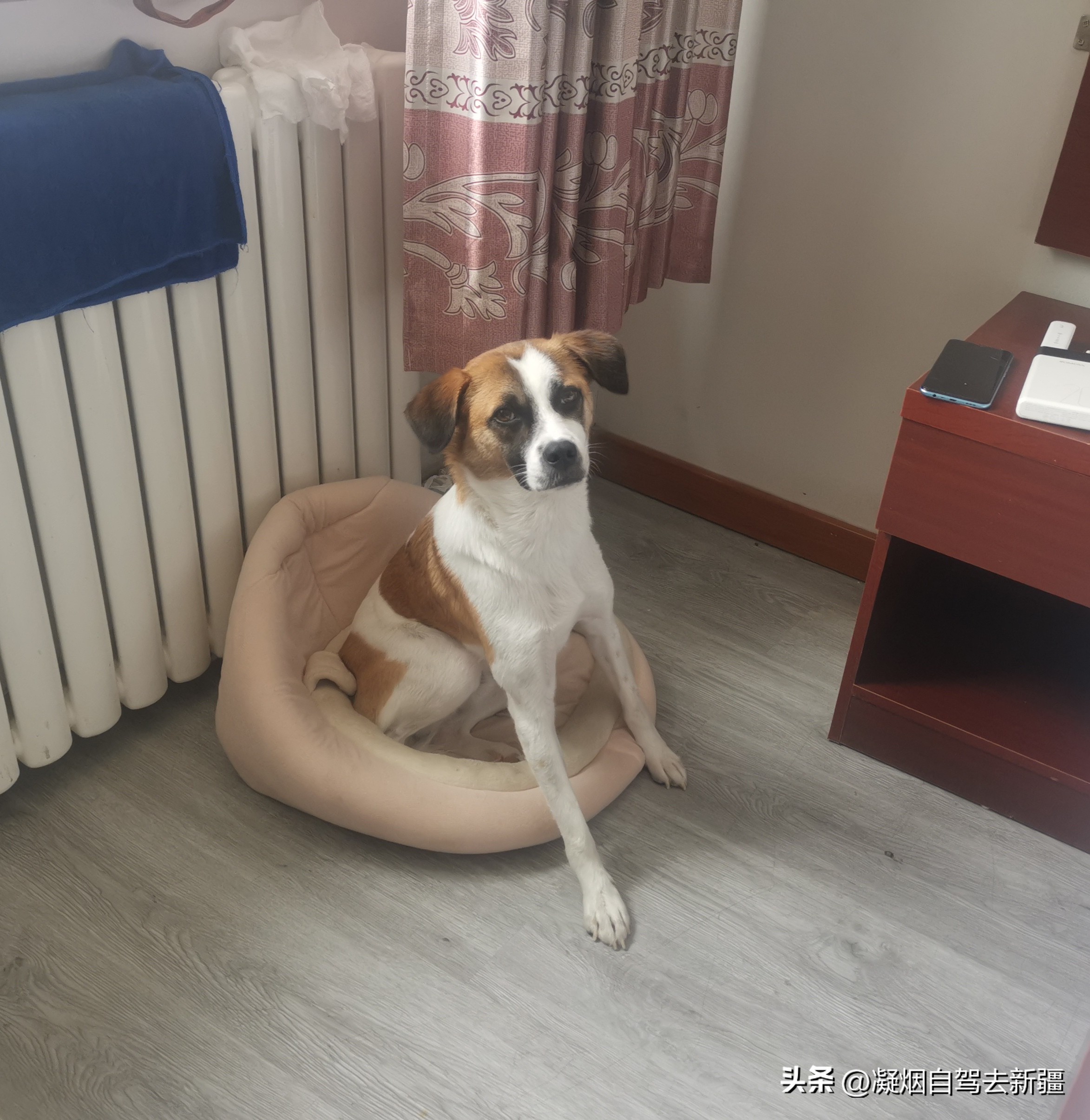 西域漫游,西域漫游记完整视频