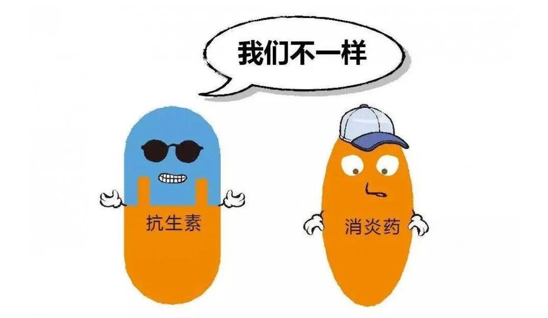 阿莫西林都是消炎药吗,阿莫西林是最好的消炎药了吗