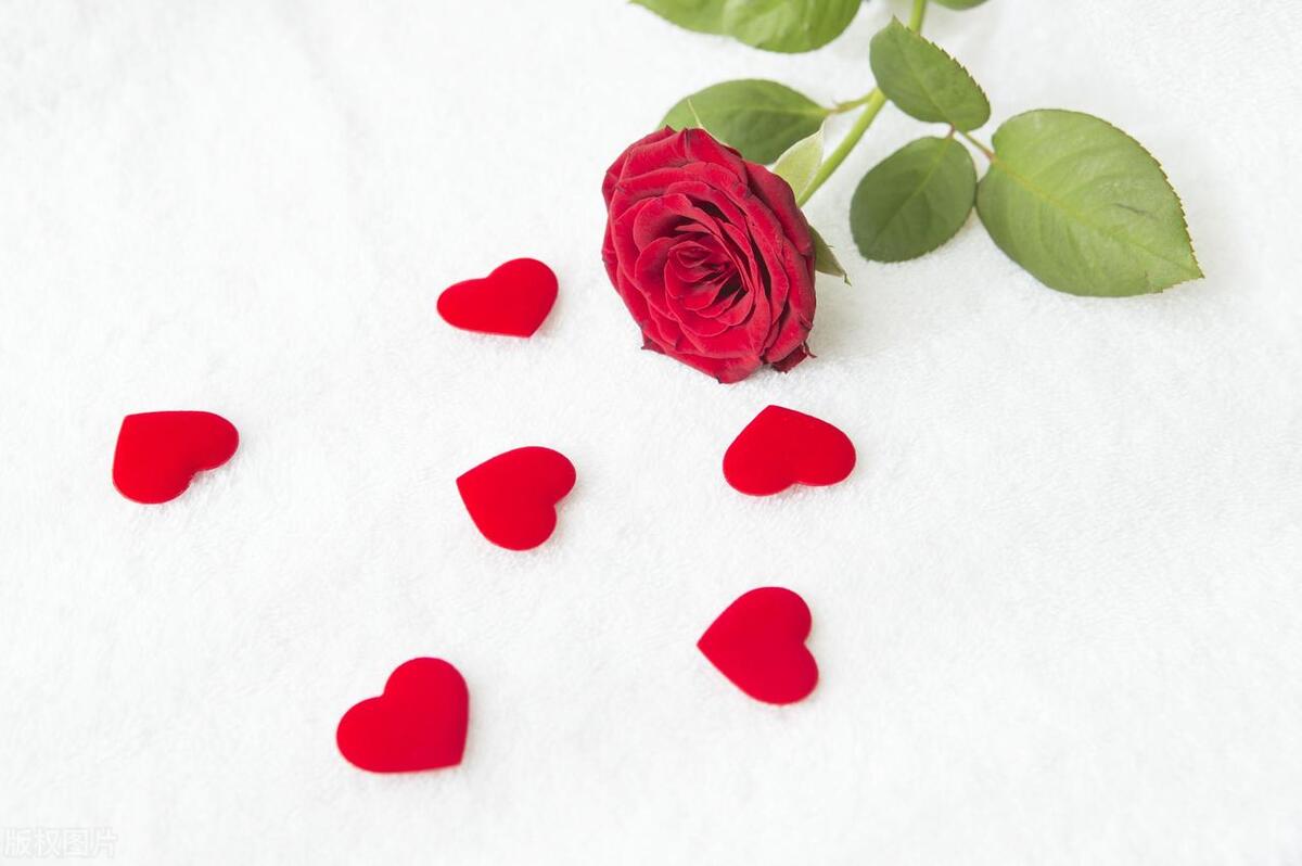 爱情的古诗词句子,情侣关于爱情的古诗