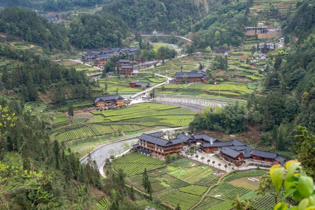 乡村振兴农民建房政府有补贴吗,关于乡村如何进行产业振兴