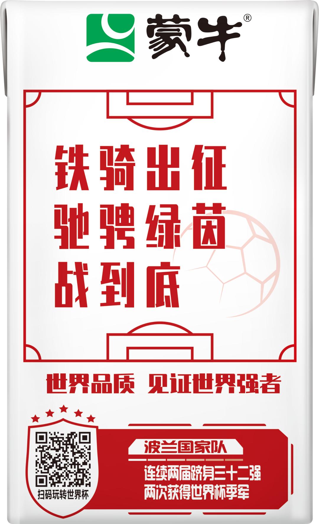 世界杯足球员故事,世界杯队长纪录片第四集