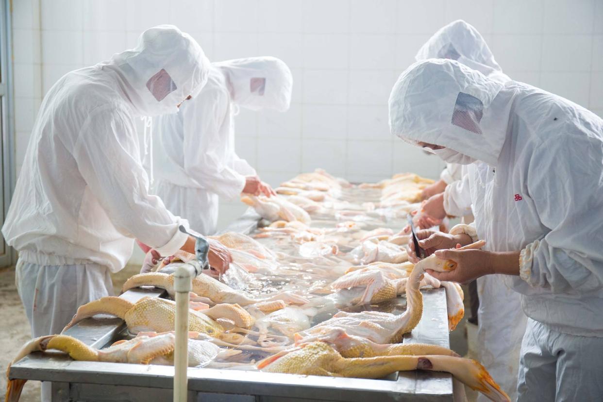 黄鱼是发物吗癌症患者能吃吗,牛肉鱼是发物癌症病人能吃吗