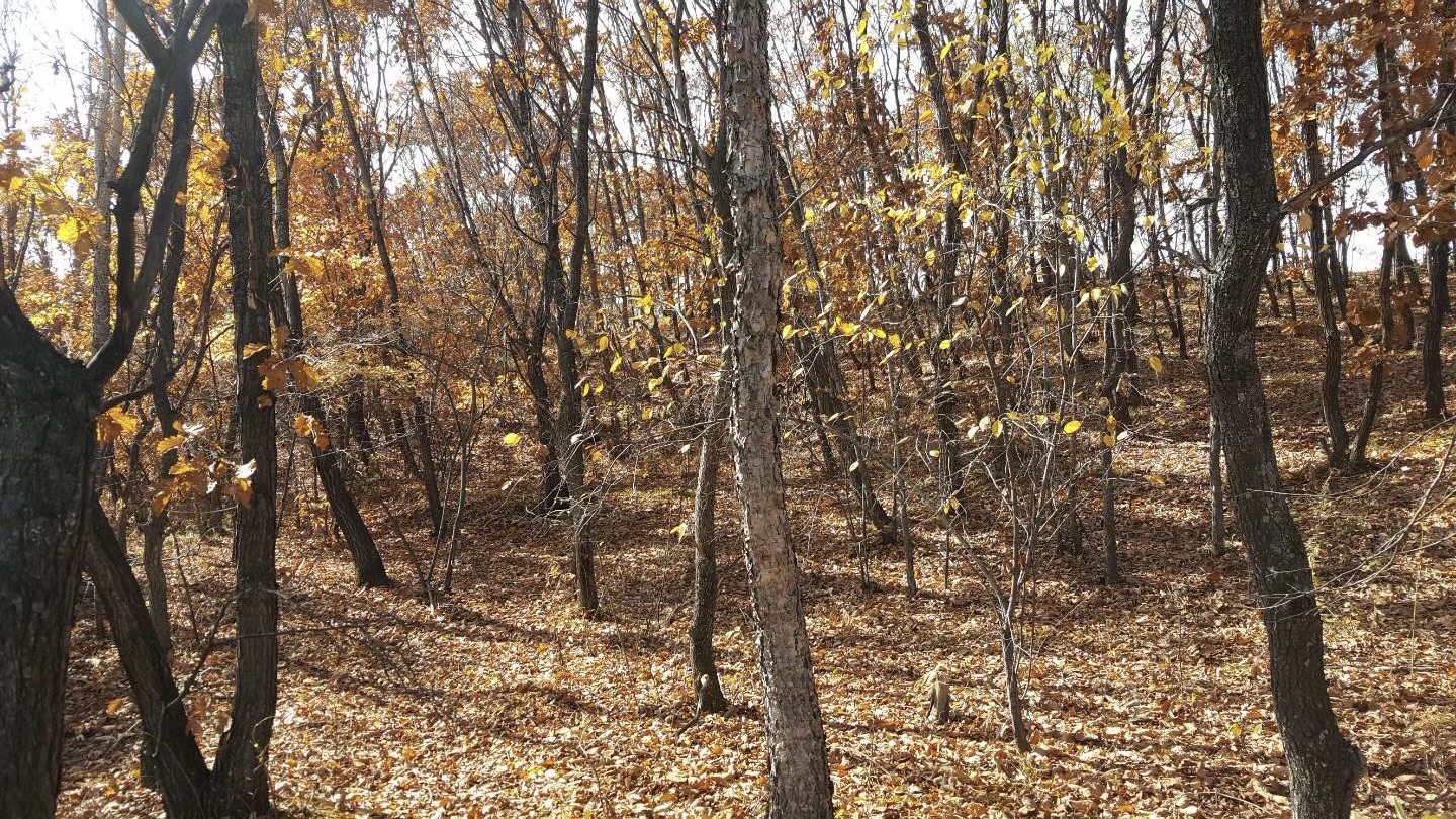 刑匠档案｜｜三流一致不构成虚开≠三流不一致构成虚开