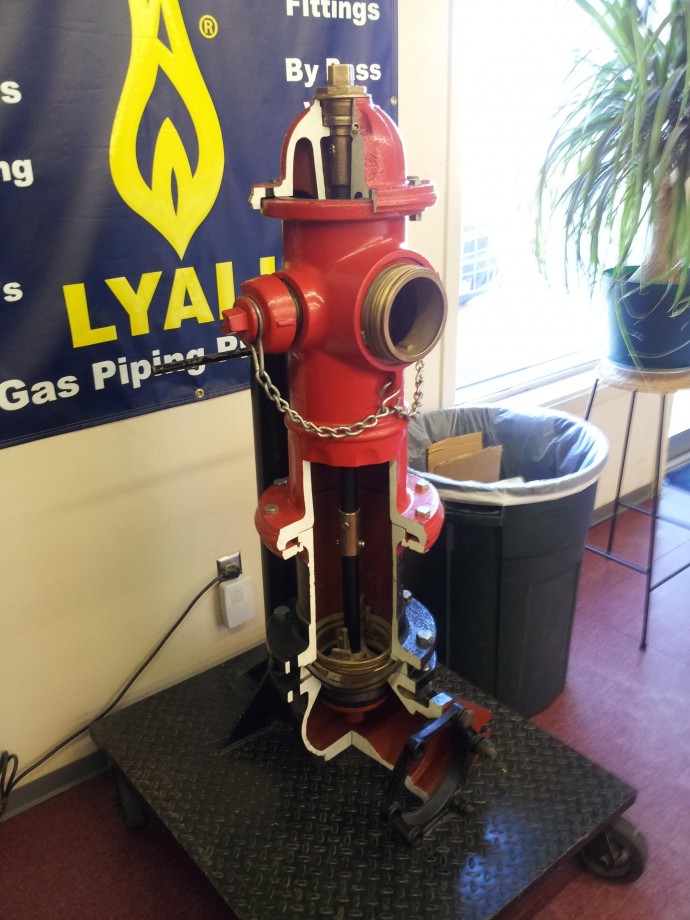 60样东西，切成一半，让你看得一清二楚