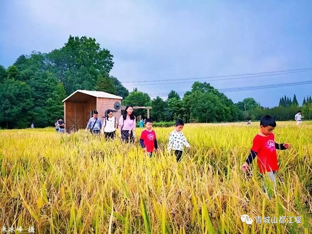水灵妹旅行攻略,水灵妹旅游景点