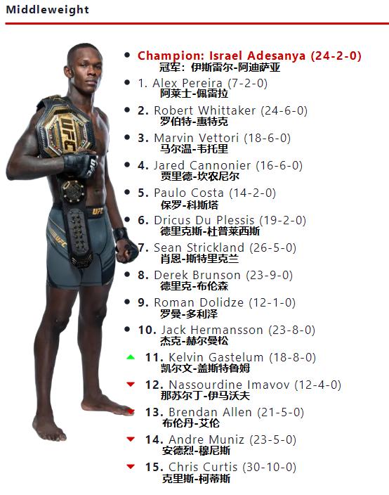 ufc最新量级排名2024,ufc最新各量级排名2024