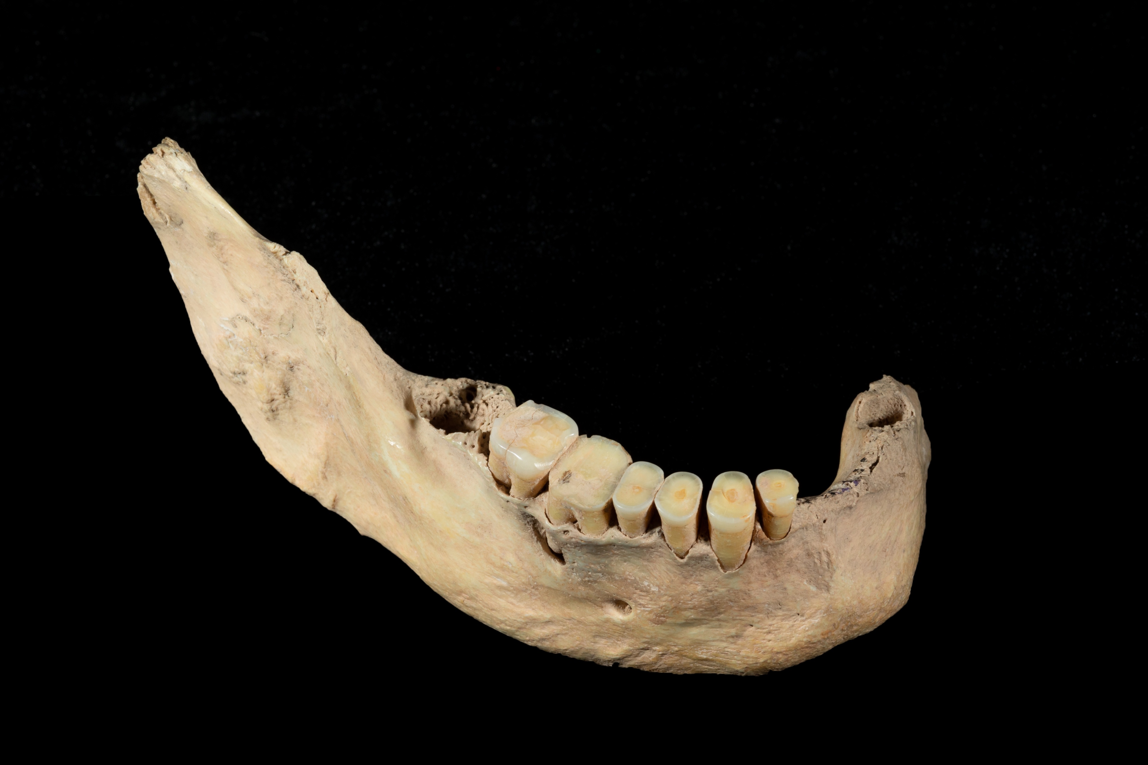 付巧妹解谜古人类dna密码,dna开讲啦付巧妹