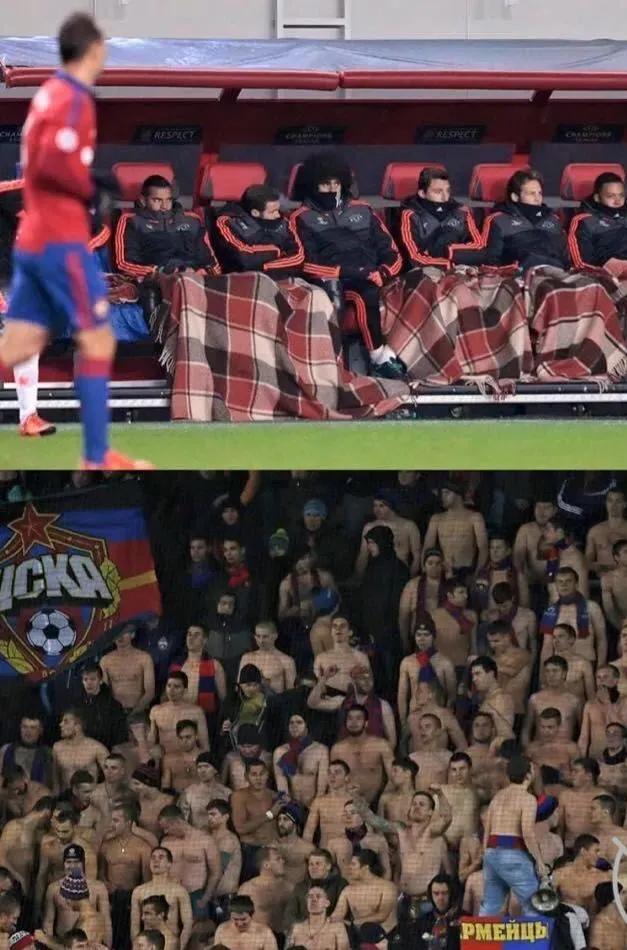 俄罗斯游客逃票打棕熊,俄罗斯两逃票男子把棕熊打成重伤