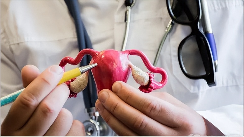 女性切除子宫会对卵巢有影响吗,女性切除子宫影响月经还是生育