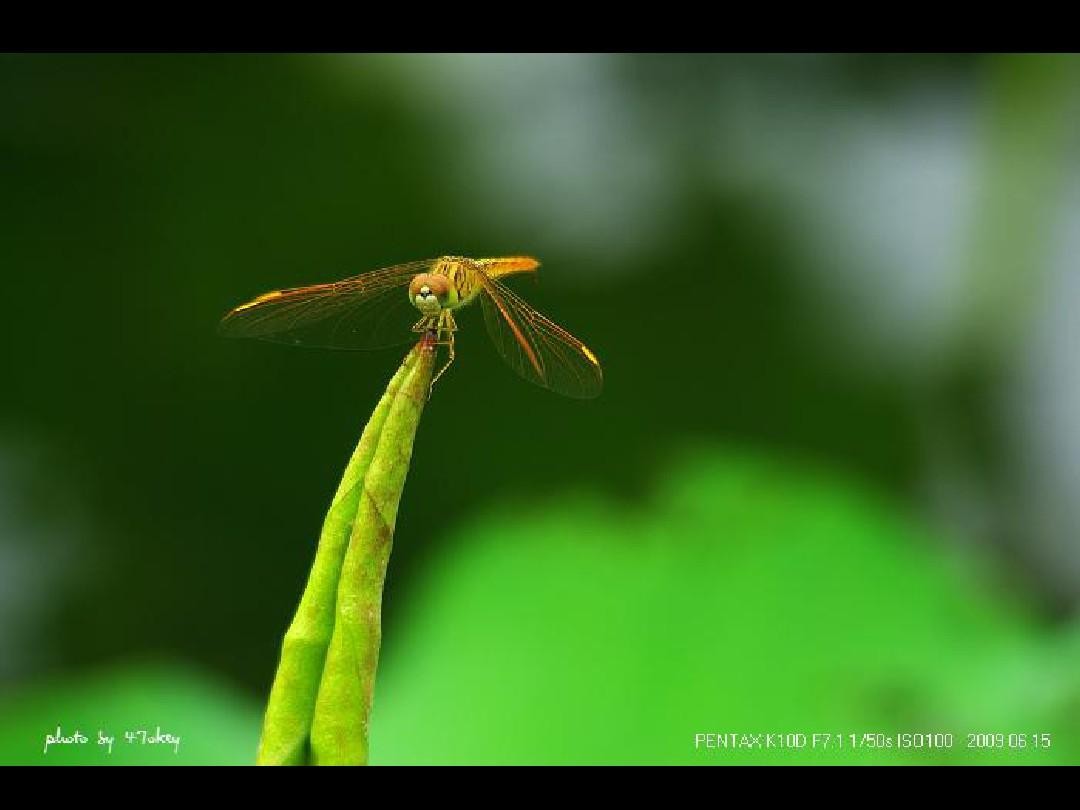毒教材引发全社会反思,毒教材须引发社会反思