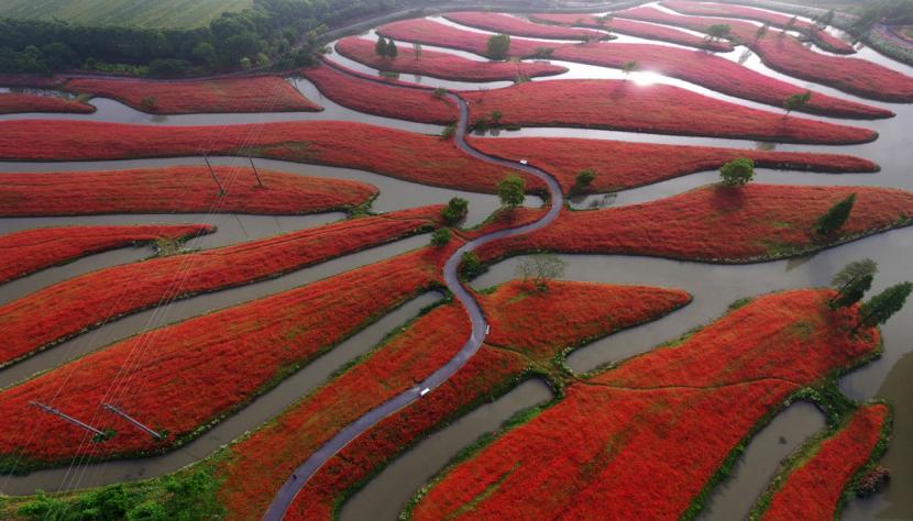 上海新评定五家a级景区,上海五星级旅游景点排名