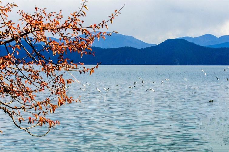 云南泸沽湖有哪些景色特色,盐源泸沽湖民族风情