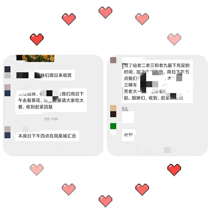 写写九仙女姐妹的缘份