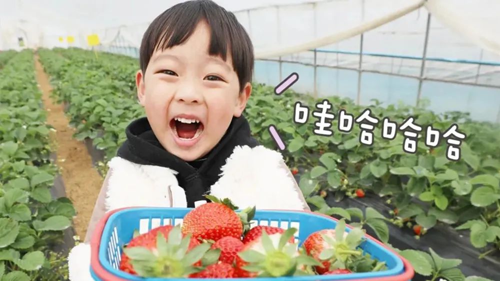 还剩10天!如何安全有仪式感地迎接元旦?这14条周边短线值得一去