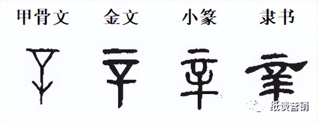 十天干象意详解,十天干冲合口诀