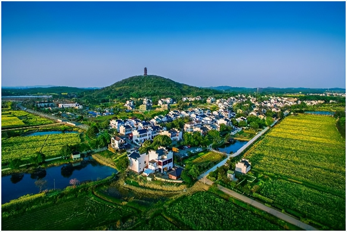 动员令下，南京这些板块奋勇争先！