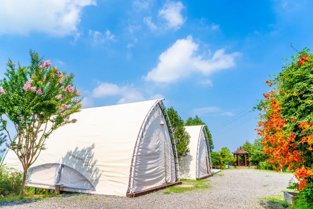 有颜值有内涵人居环境,有颜有格调有料有品质