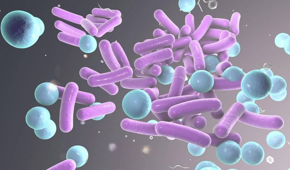 头皮总是长疙瘩或脓包是什么原因,头皮反复长疖肿起脓包