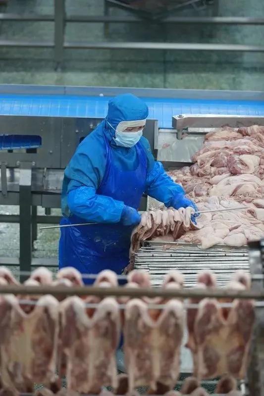 【解读中原粮仓的密码】媒体采访团走进河南华英农业股份有限公司