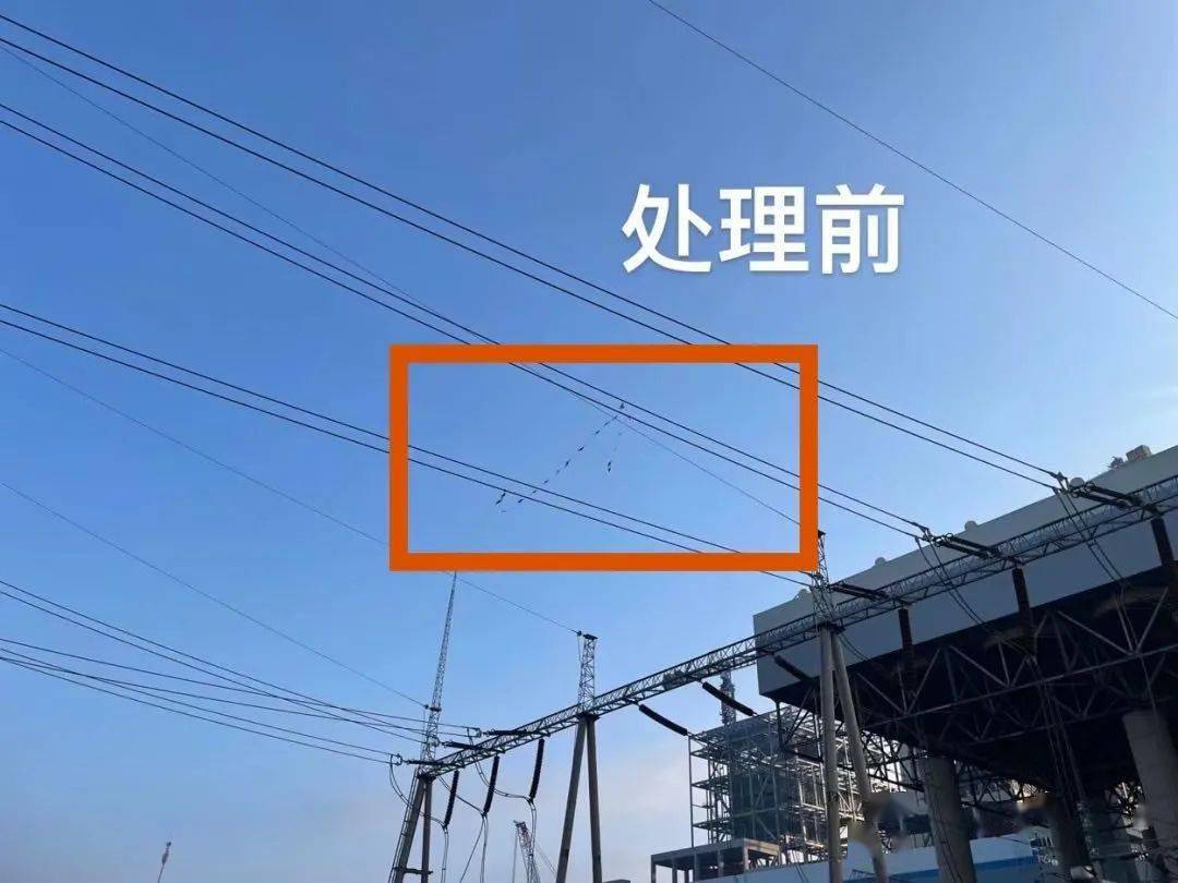 国外小伙自制高性能无人机,激光除草机器人