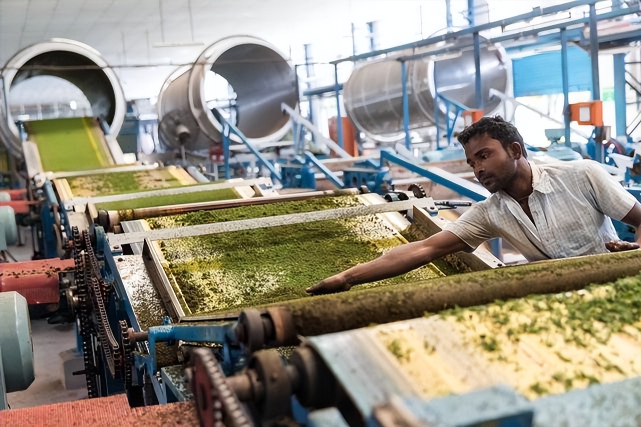 中国为何要多花2个亿，从印度进口茶叶？是中国茶不如印度茶吗？