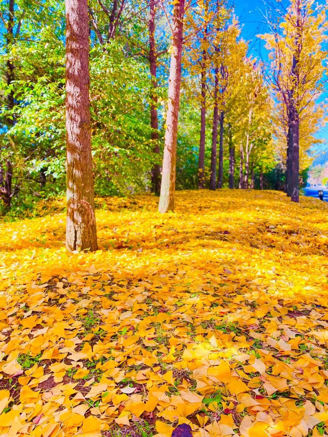 200条实用心理学小知识,实用200条心理学视频