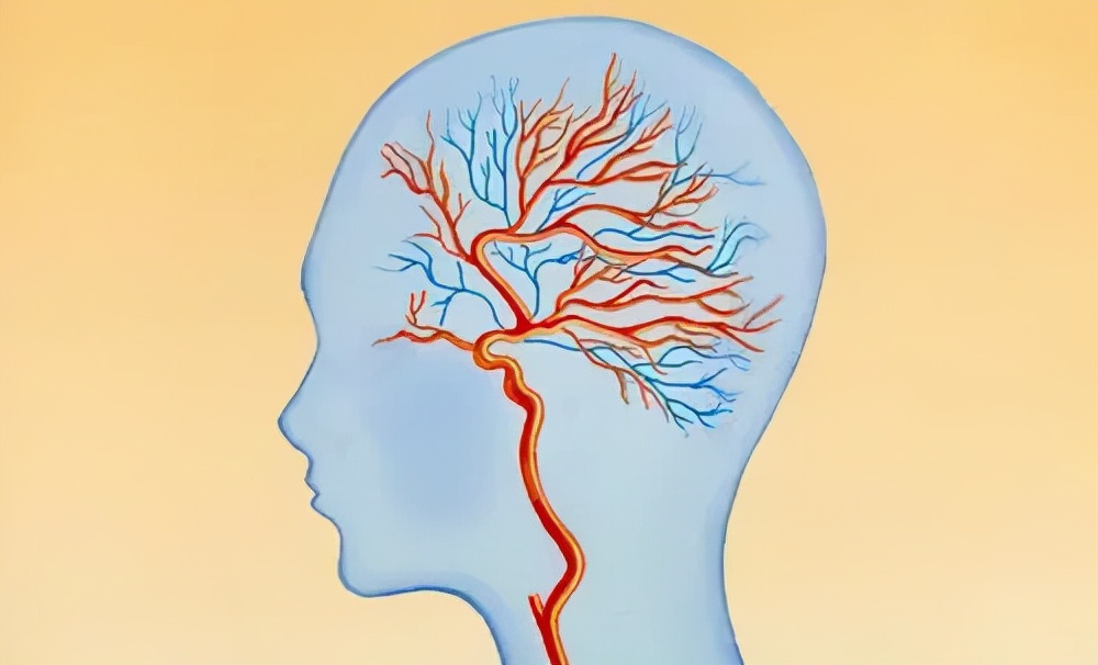 人体缺氧的典型表现是,长期缺氧的症状表现有哪些