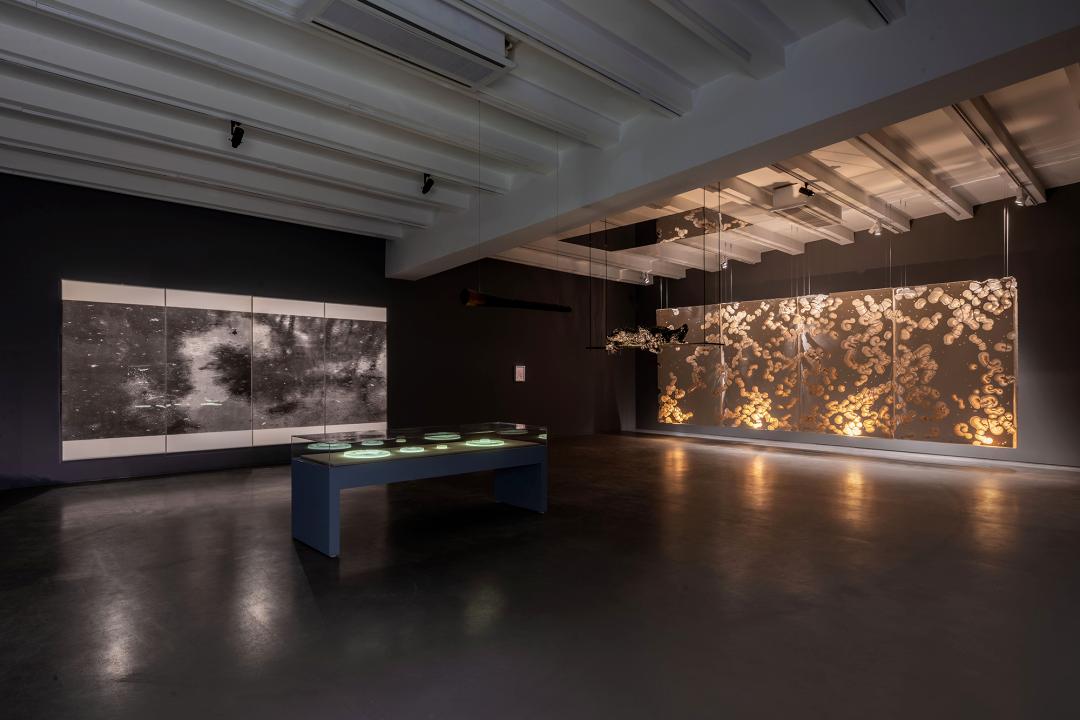 巨川,你好!|艺术栗子