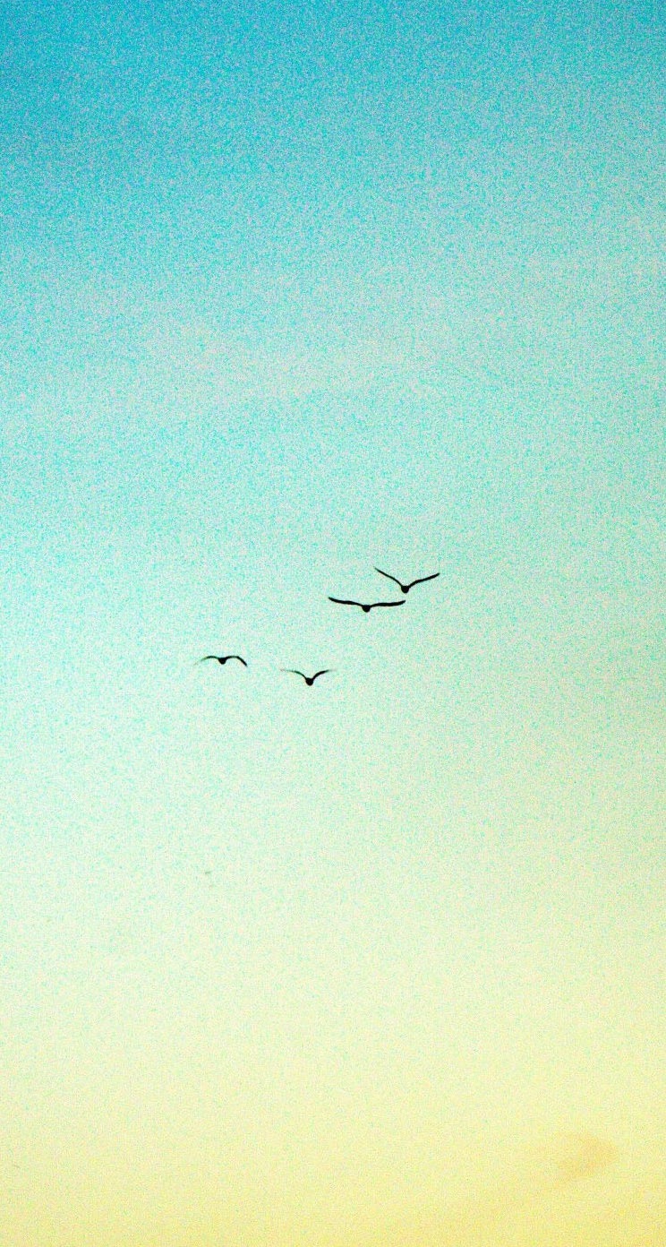 浅色壁纸高清图片花,超仙闺蜜壁纸动漫紫色和粉色