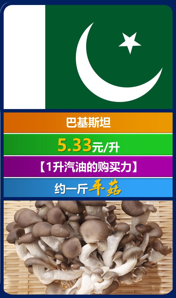 全世界汽油价一览表,全球各国汽油价格多少一升