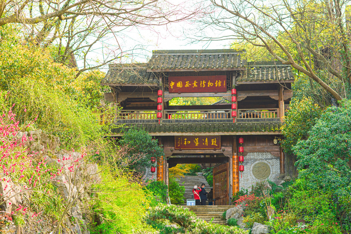 茶心普洱,茶心和茶碎