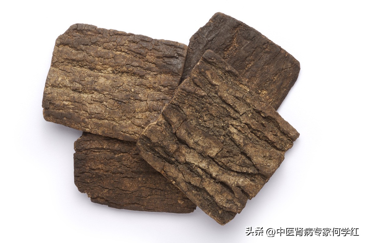 肾毒中药,排肾毒中药