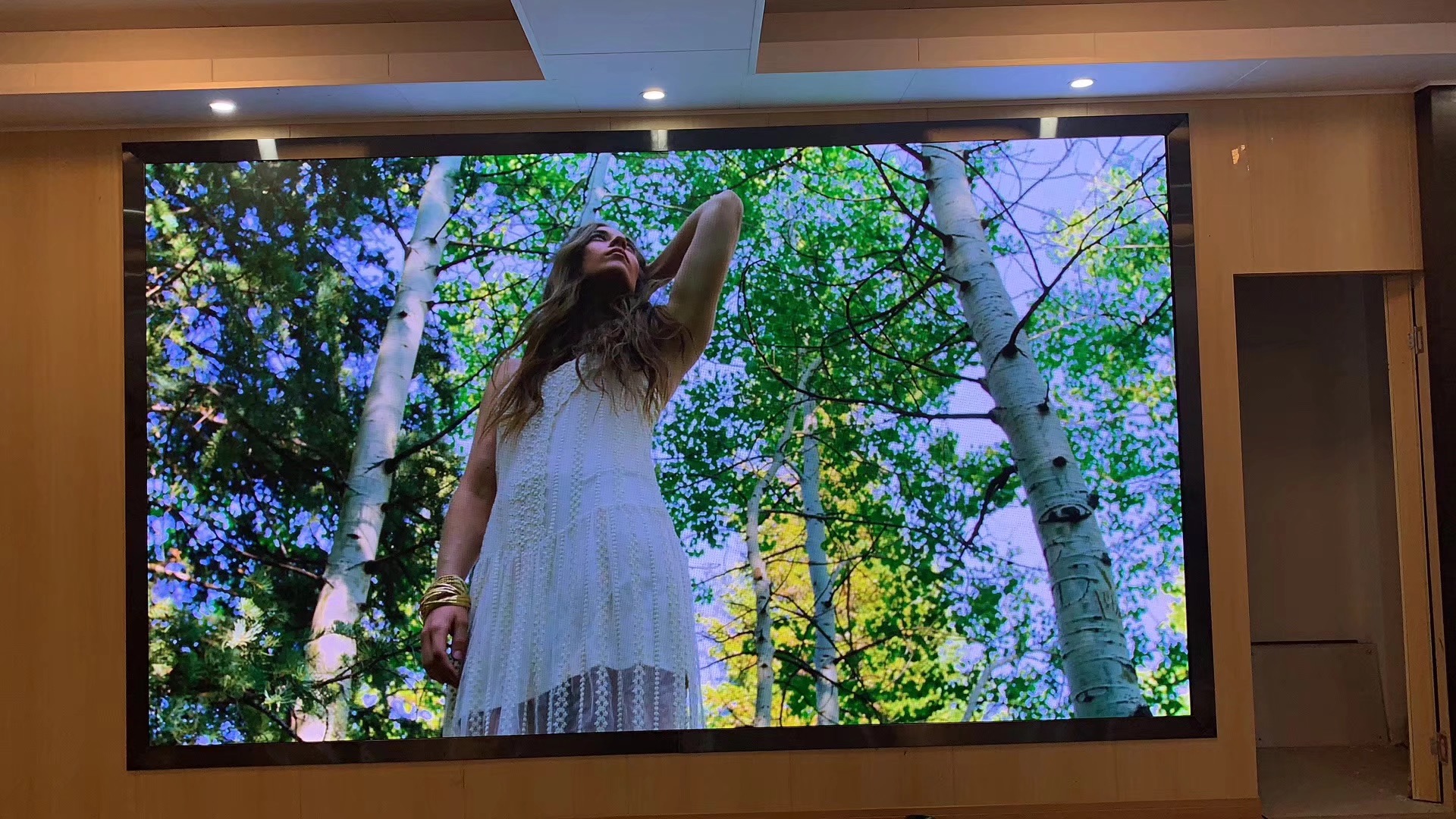 led电子屏有前途吗,led显示屏静电的坏处