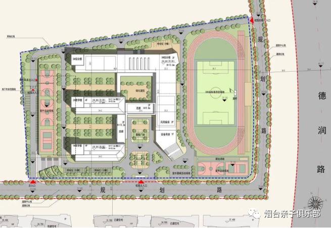 芝罘区小学排名一览表最新图片,芝罘区新建公立学校怎么样