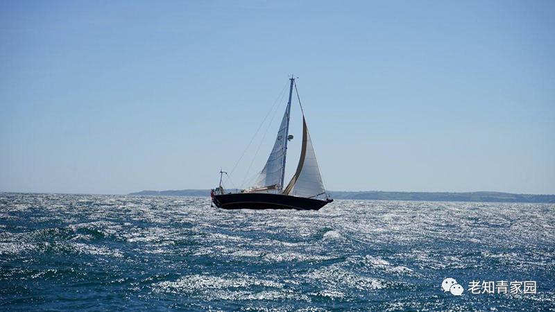 梁晓声知青小说,梁晓声知青全文