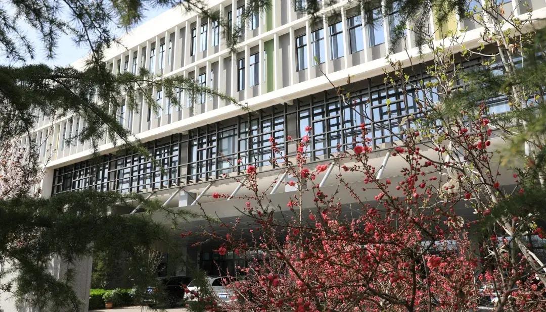 北京市通州区运河中学：铺就青年教师成长坦途