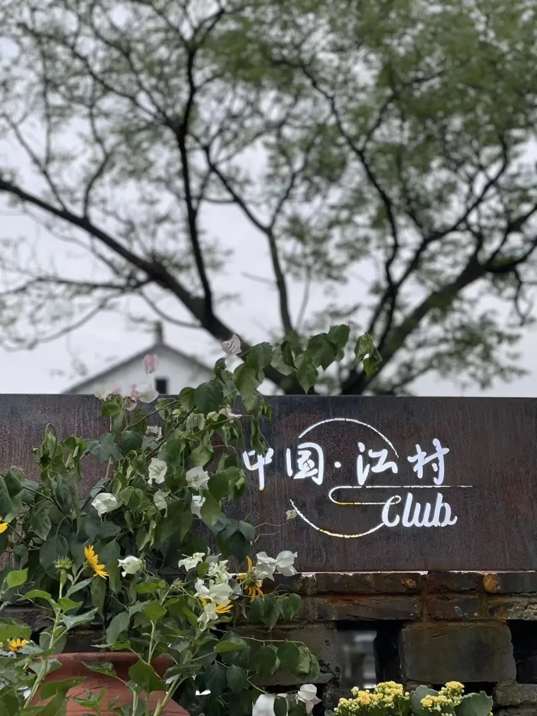 解析全国16个整村运营,解码全国16个整村运营经典案例