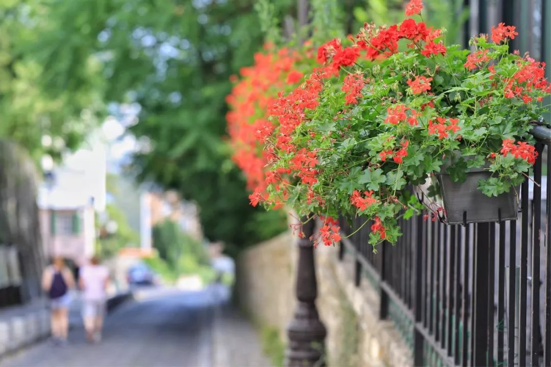 浪漫之都巴黎旅拍,浪漫之都巴黎城市